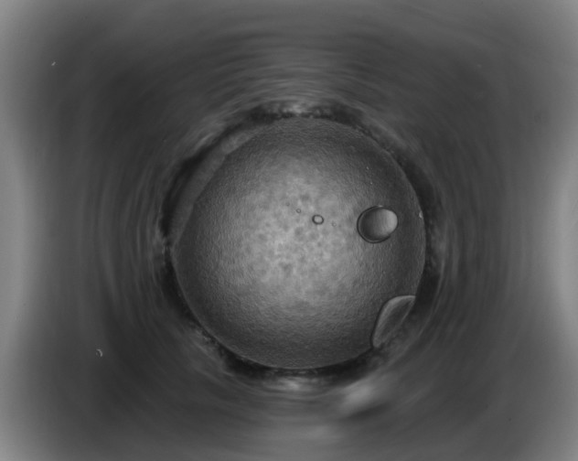 X0000086730657200704201647