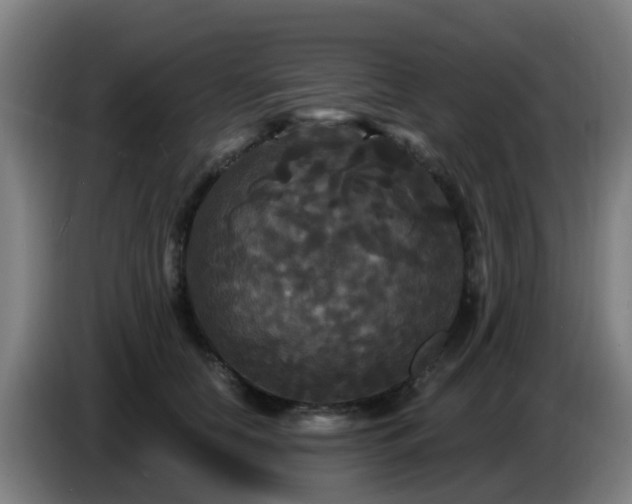 X0000086730658200704201647