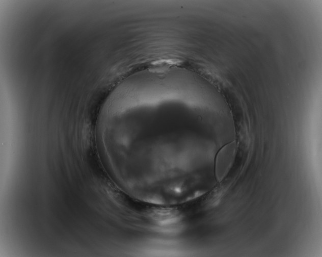 X0000086730659200704201647