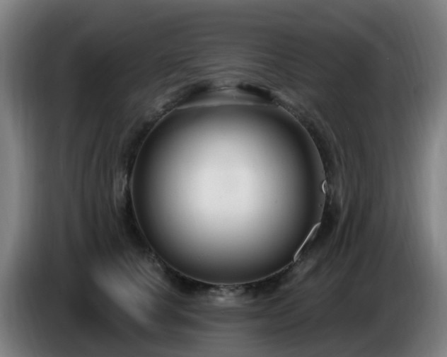 X0000086730660200704201647