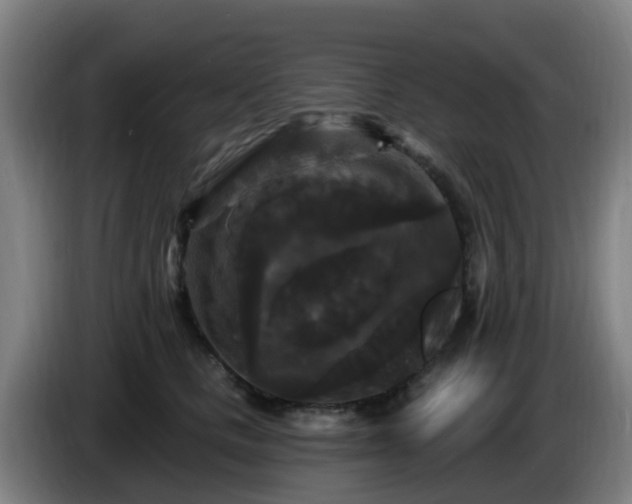 X0000086730661200704201647