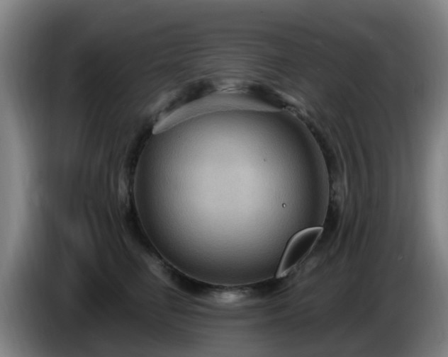 X0000086730662200704201647