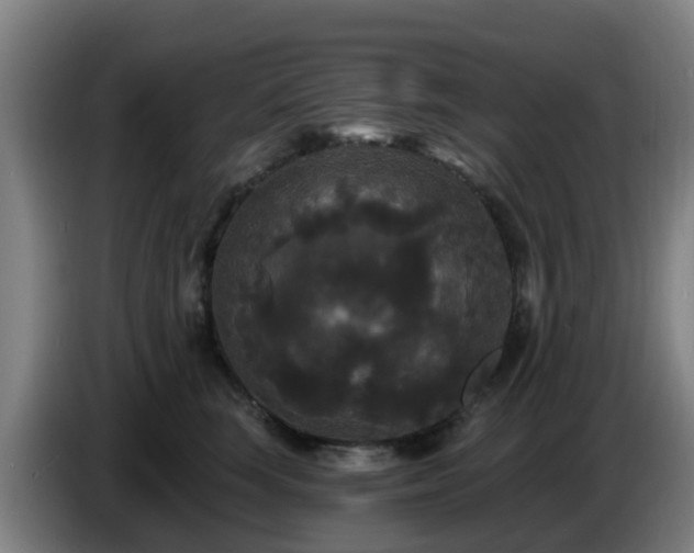 X0000086730663200704201647