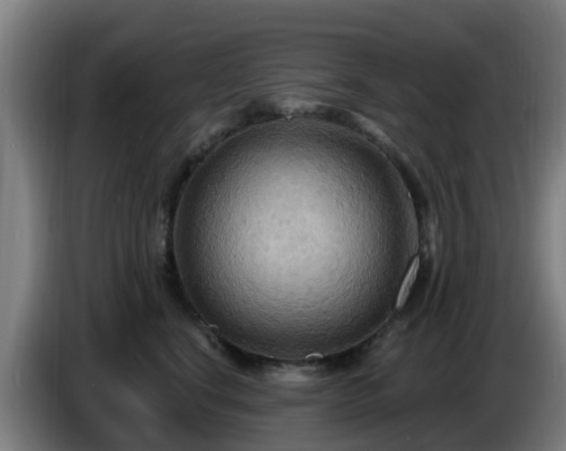 X0000086730664200704201647