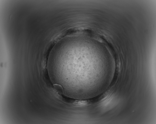 X0000086730665200704201647