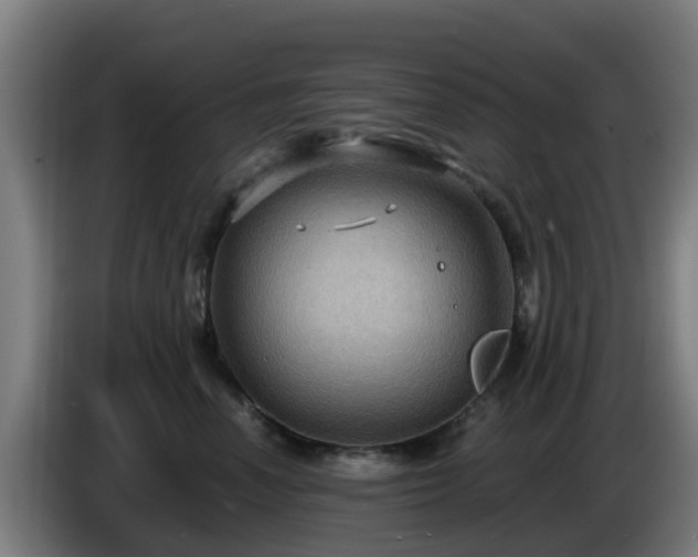 X0000086730666200704201647