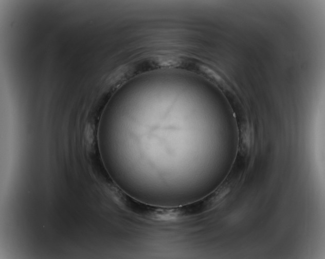 X0000086730667200704201647