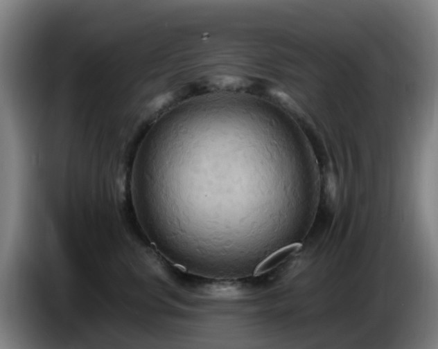 X0000086730668200704201647