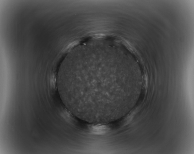 X0000086730669200704201647