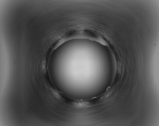 X0000086730670200704201647