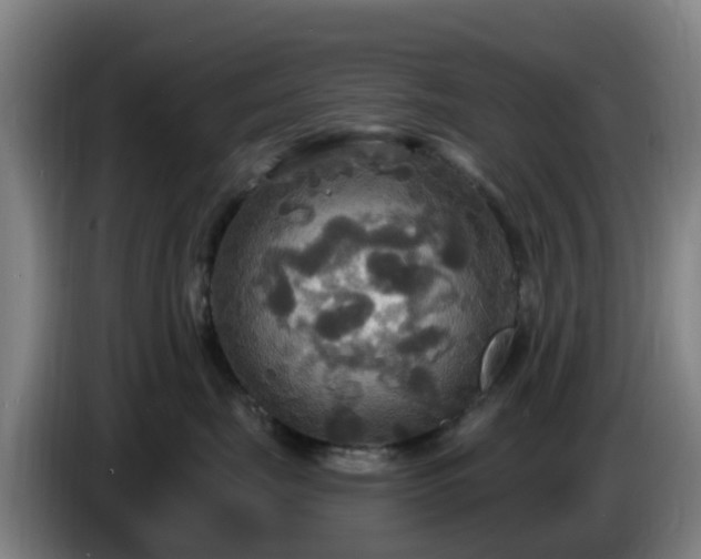 X0000086730671200704201647