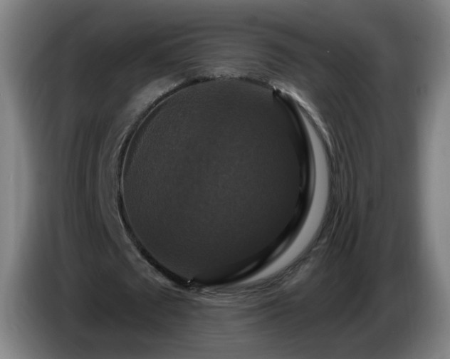 X0000086730673200704201647