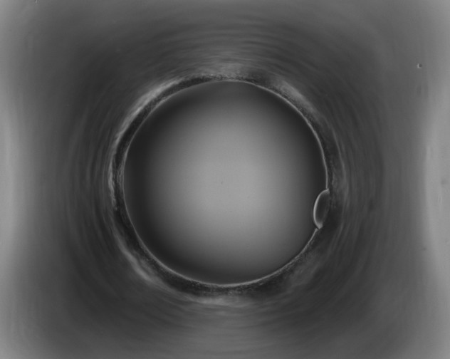 X0000086730674200704201647