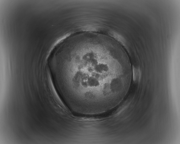 X0000086730675200704201647