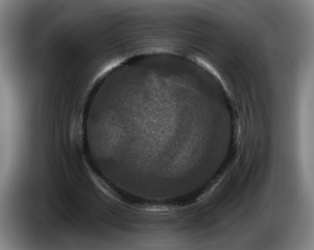 X0000086730677200704201647