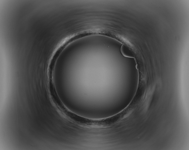 X0000086730678200704201647