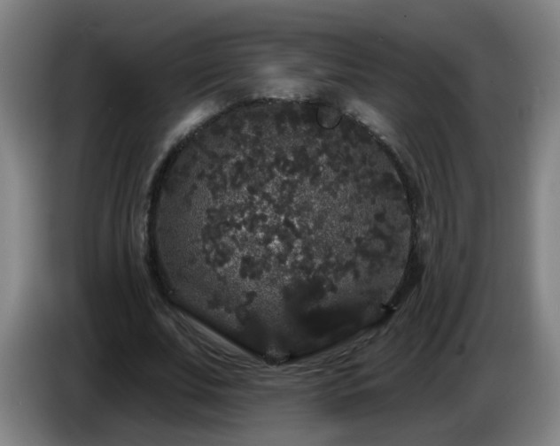 X0000086730679200704201647