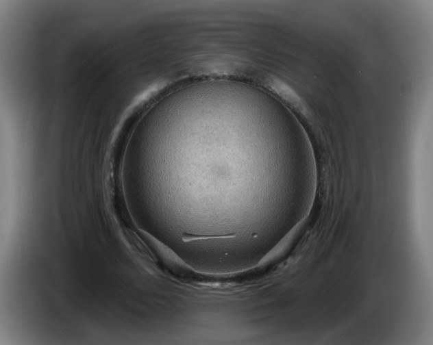 X0000086730680200704201646