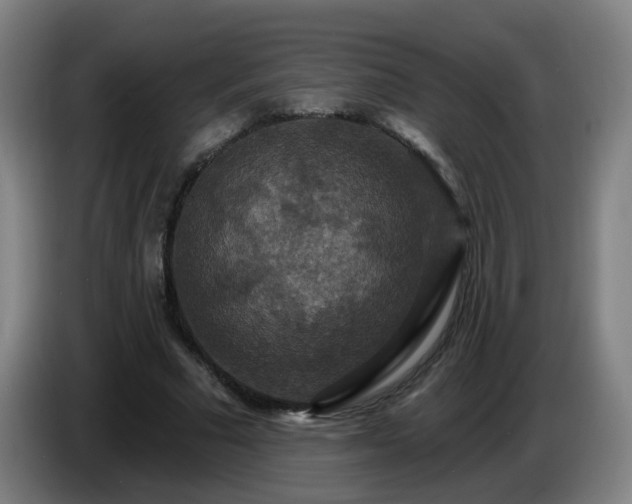 X0000086730681200704201646