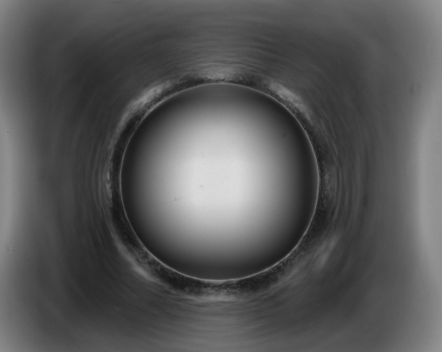 X0000086730682200704201646