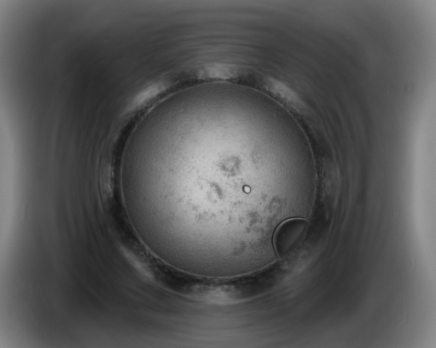 X0000086730683200704201646