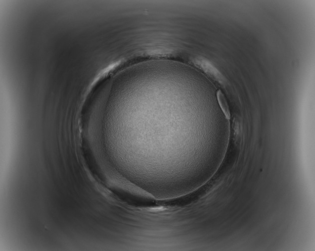 X0000086730684200704201646