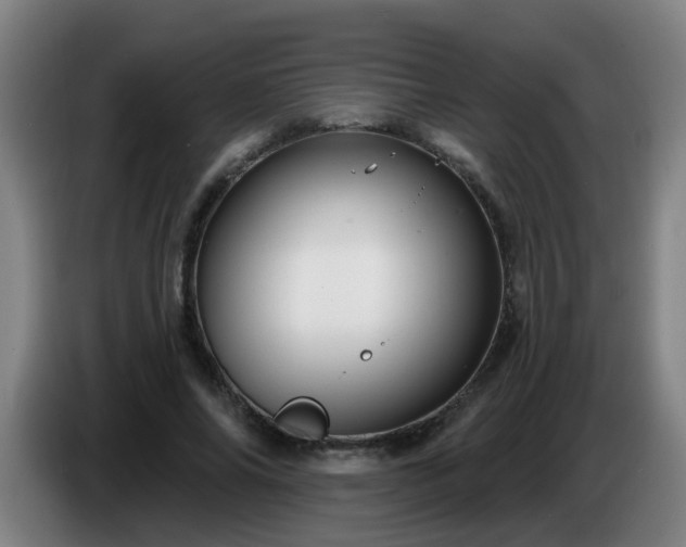 X0000086730686200704201646