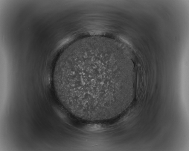 X0000086730687200704201646