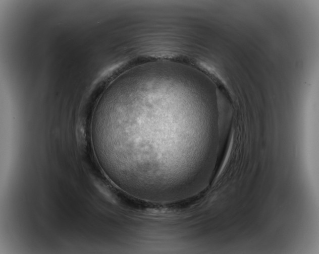 X0000086730688200704201646