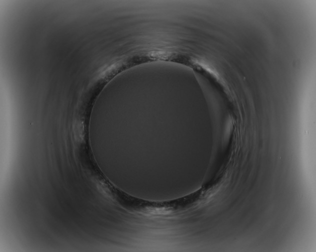 X0000086730689200704201646