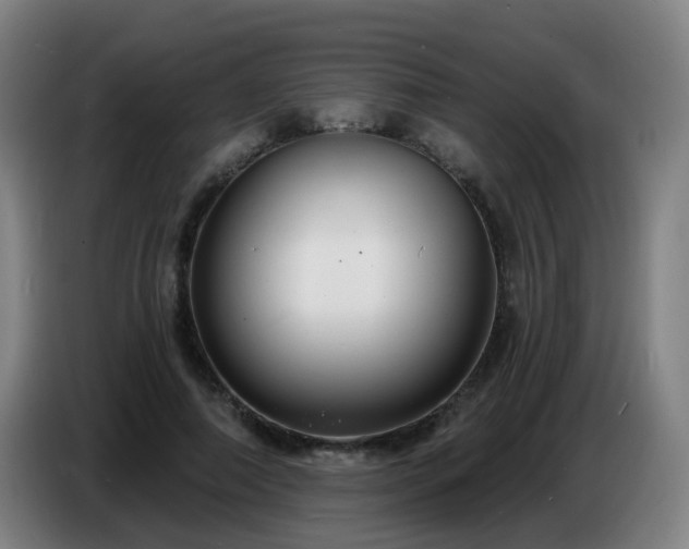 X0000086730690200704201646