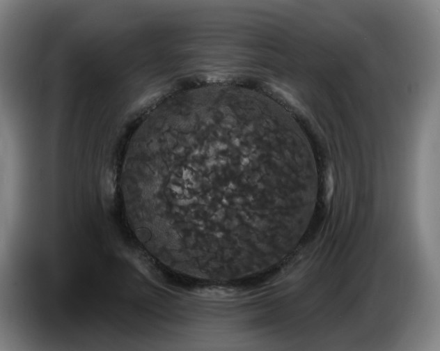 X0000086730691200704201646