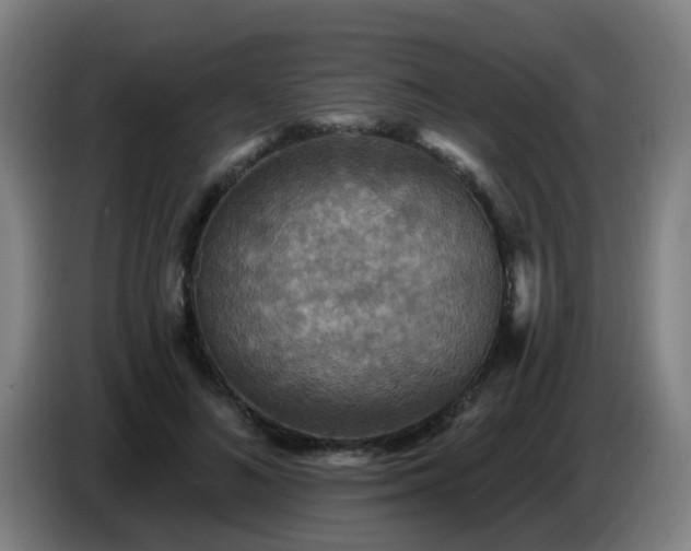 X0000086730692200704201646