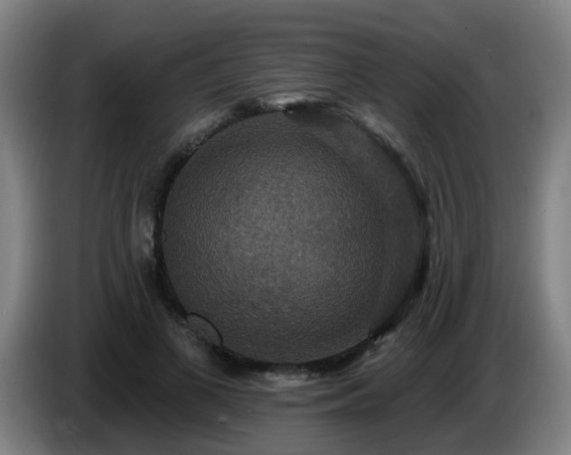 X0000086730693200704201646