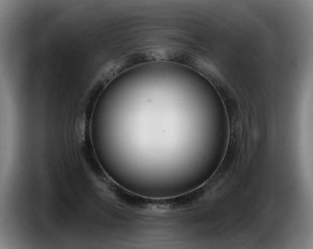 X0000086730694200704201646