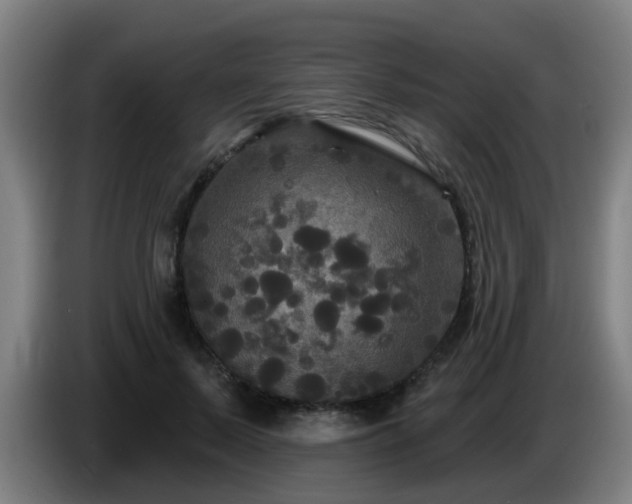 X0000086730695200704201646