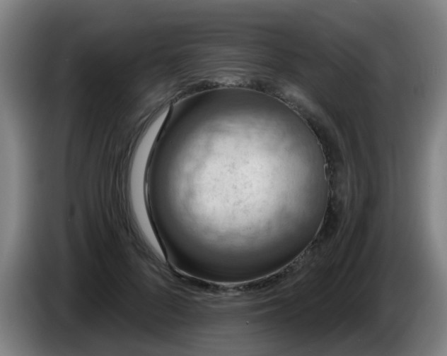 X0000086730696200704201646