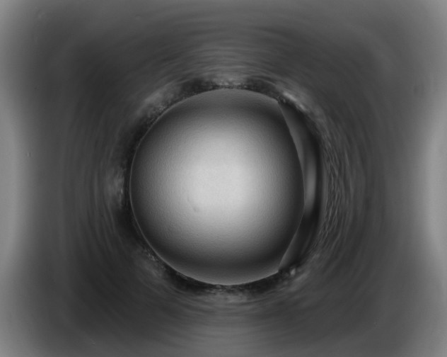 X0000086730697200704201646