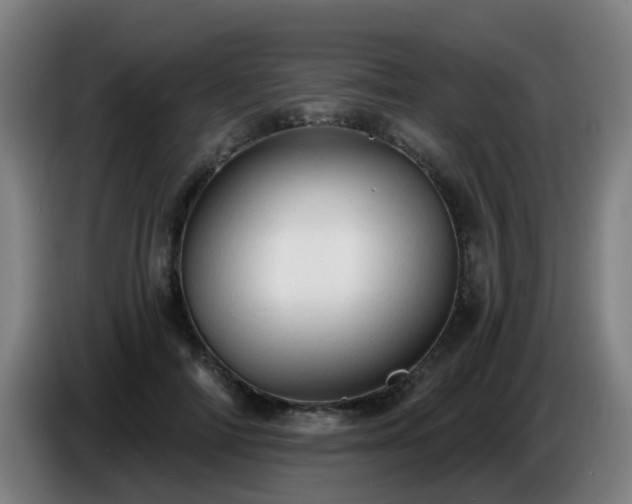 X0000086730698200704201646