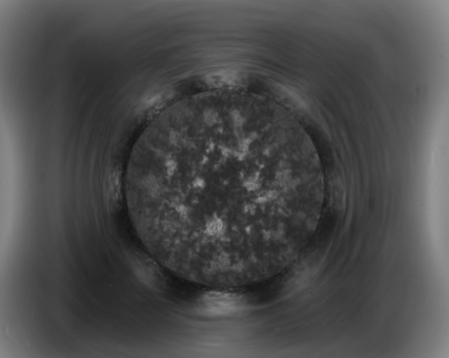 X0000086730699200704201646