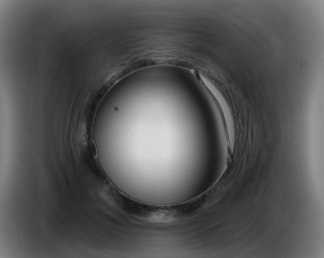 X0000086730700200704201646