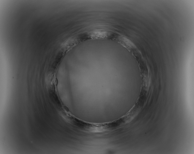 X0000086730701200704201646