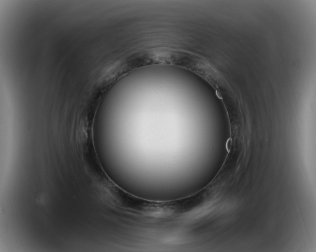 X0000086730702200704201646