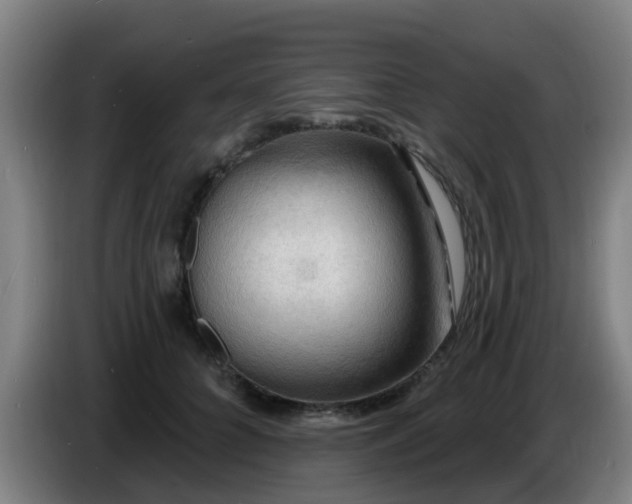 X0000086730704200704201646