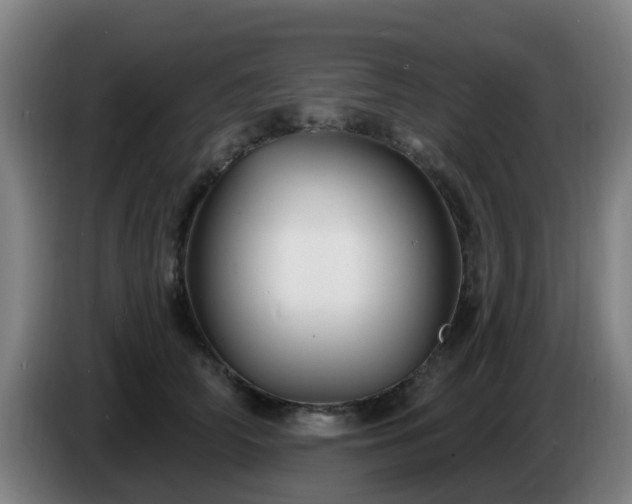 X0000086730706200704201646