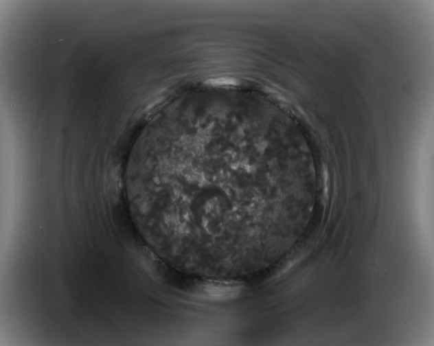 X0000086730707200704201646