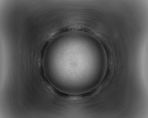 X0000086730708200704201646