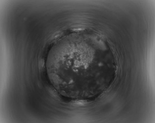 X0000086730711200704201646