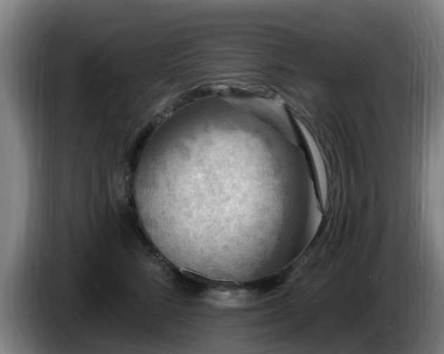 X0000086730712200704201646