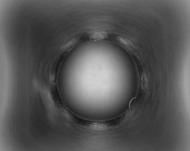 X0000086730714200704201646